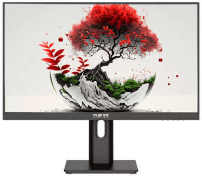 Монитор RDW 2201 серия 01 Монитор RDW 2201 серия 01